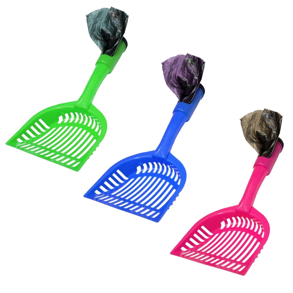 what can give a dog for constipation