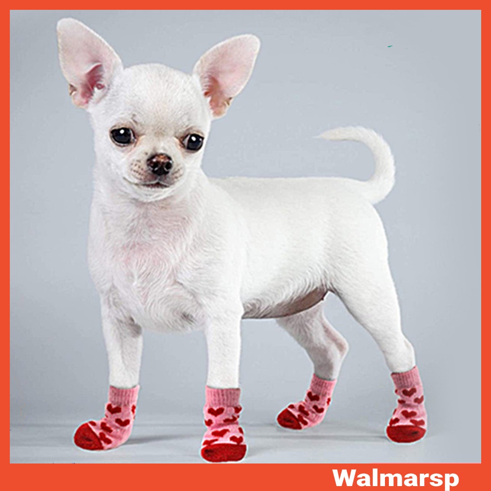 How To Keep A Dog From Scratching Sock