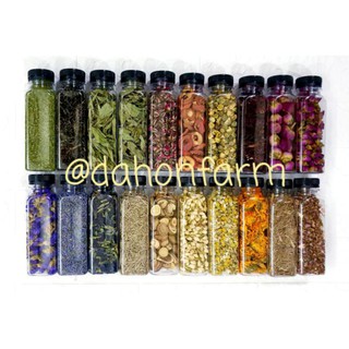 Dried Leaves Flowers Chamomile Lavender Jasmine Hibiscus ...