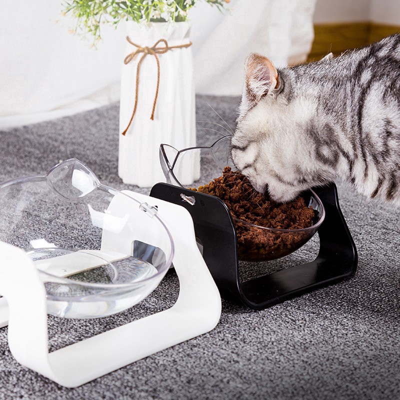 elevated cat bowl