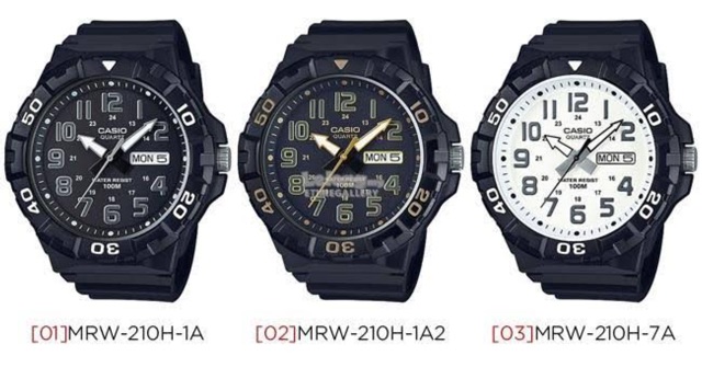 casio 210h