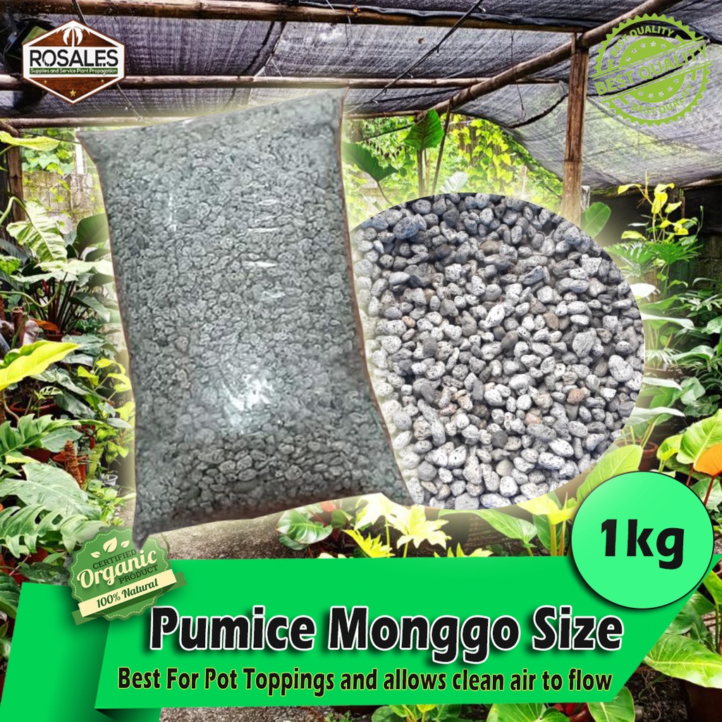 1kg Monggo size For Plants Sterilized Ready To Use Soil Conditioner