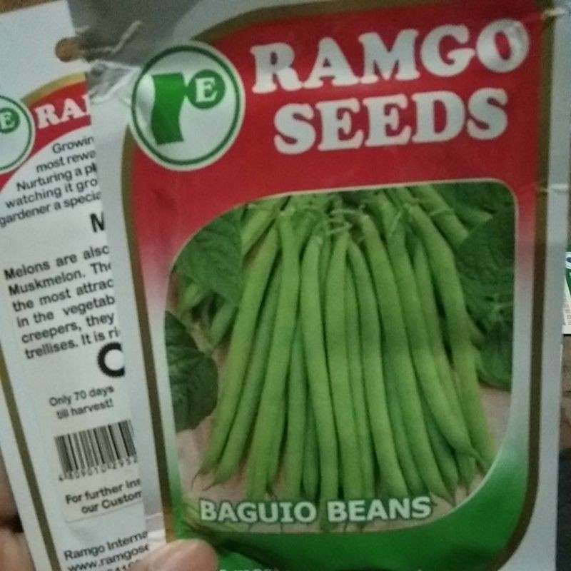 Baguio Beans Vegetable Seeds (Assorted Brands) Shopee Philippines
