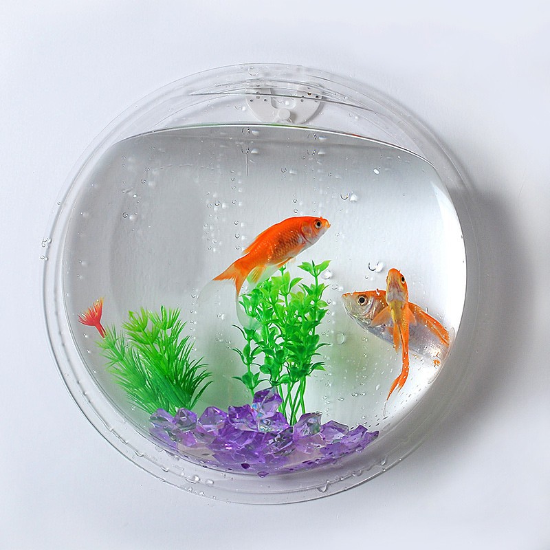 fish tank bowl