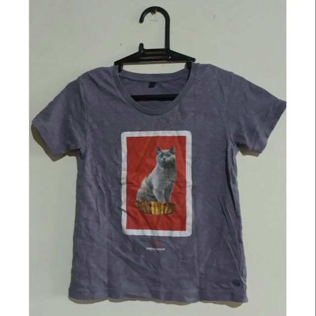 preloved british shorthair