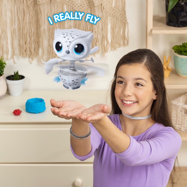 owleez teach me to fly