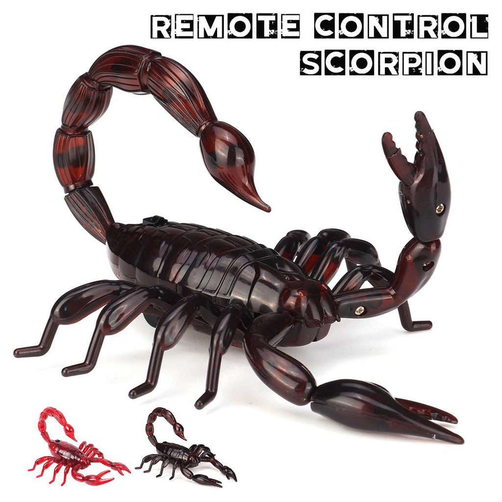 Electronic Scorpion Toy Kids Pet Remote Control Animal Insects Realistic  Simulation Children Gift | Shopee Philippines