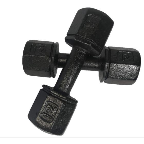 12 pound dumbbells