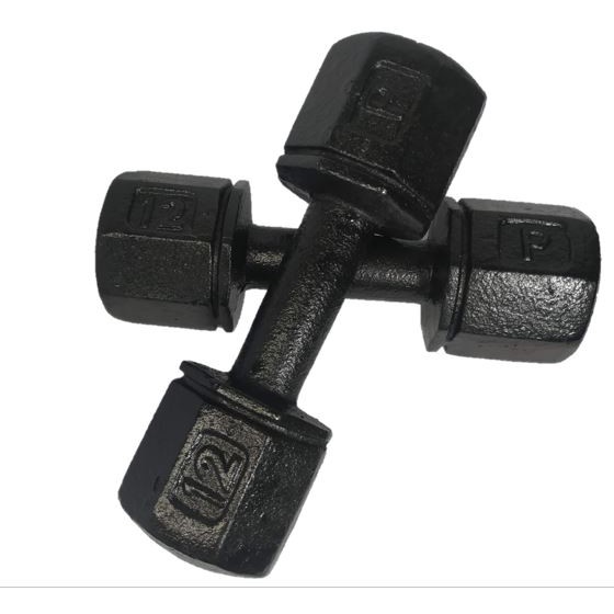 12 lb dumbbells pair