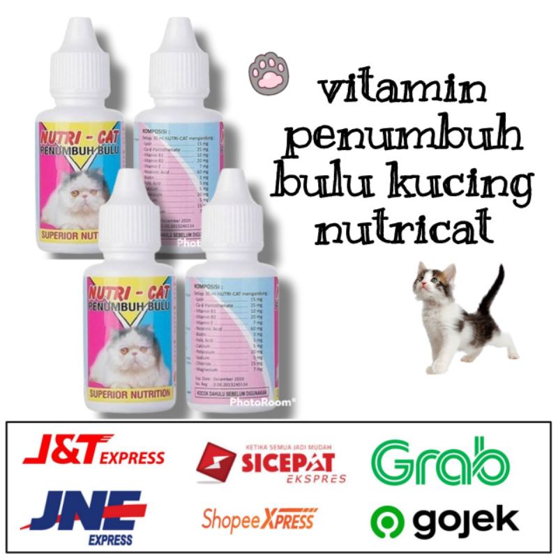 Cat Hair Vitamins Growth Treatment Grooming nutricat Shopee Philippines