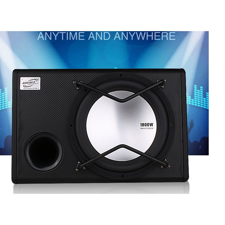 12 inch speaker amplifier