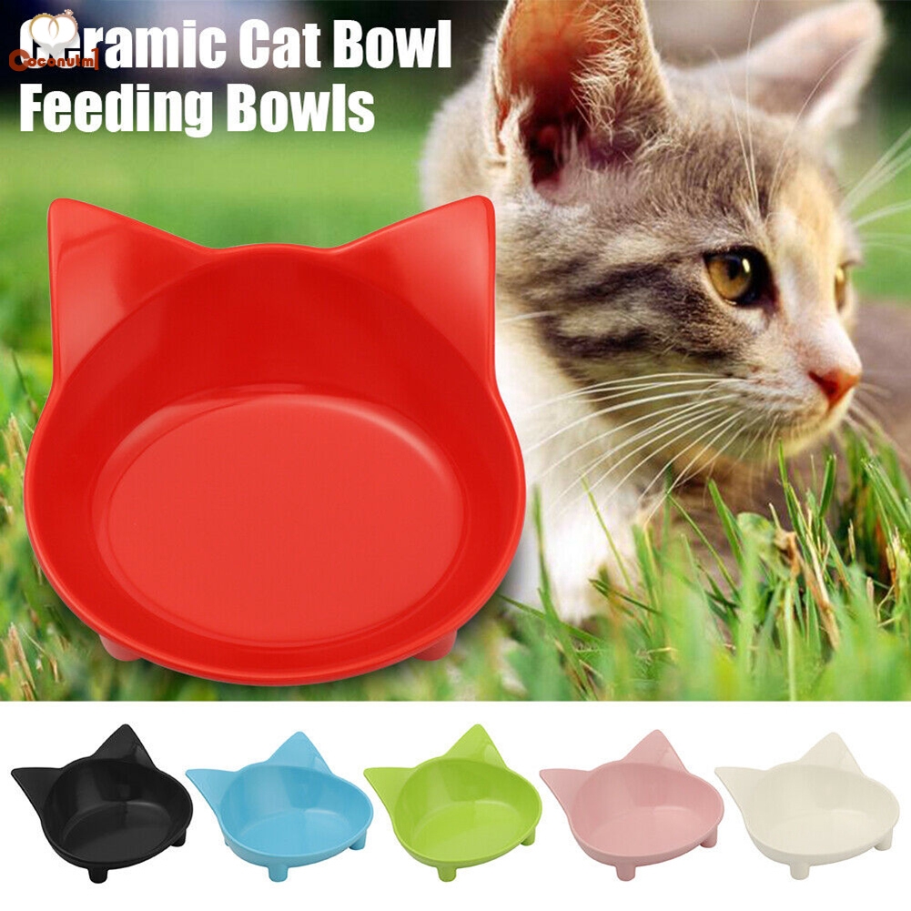safe cat bowls