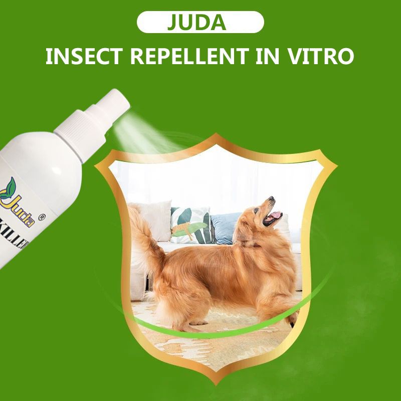 Pet supplies insecticide flea kills domestic fleas, cats, dogs, lice, puppies in vitro repellent #5