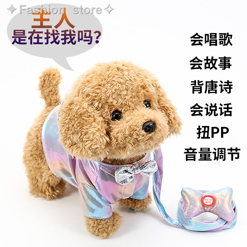 dog on a leash toy
