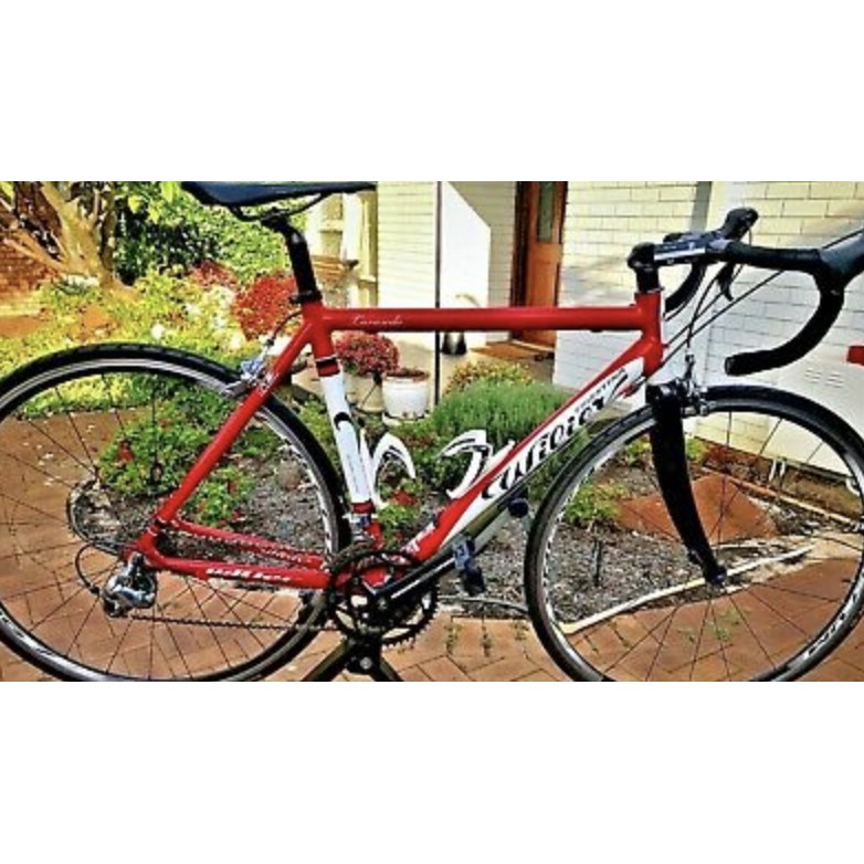 wilier road bike for sale