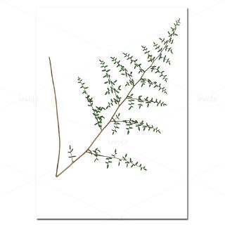 Herb Prints Nordic Poster Botanical Canvas Painting Minimalist Wall Art Pictures For Living Room Home Decoration Modern Decor Unframed Shopee Philippines