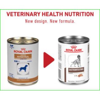 royal canin gastro intestinal