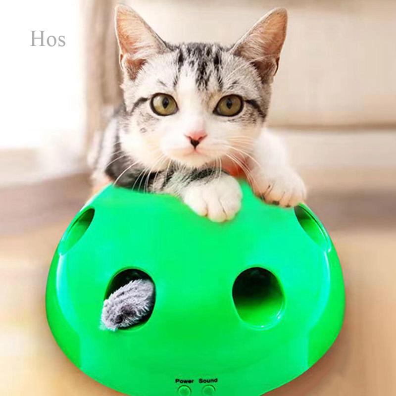peek a boo cat toy