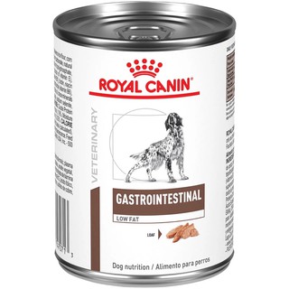 gastro intestinal royal canin cat