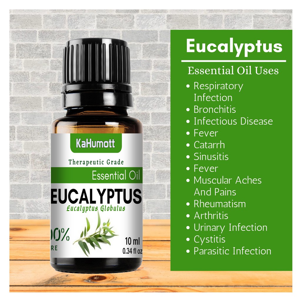 eucalyptus-100-pure-essential-oil-10-ml-shopee-philippines