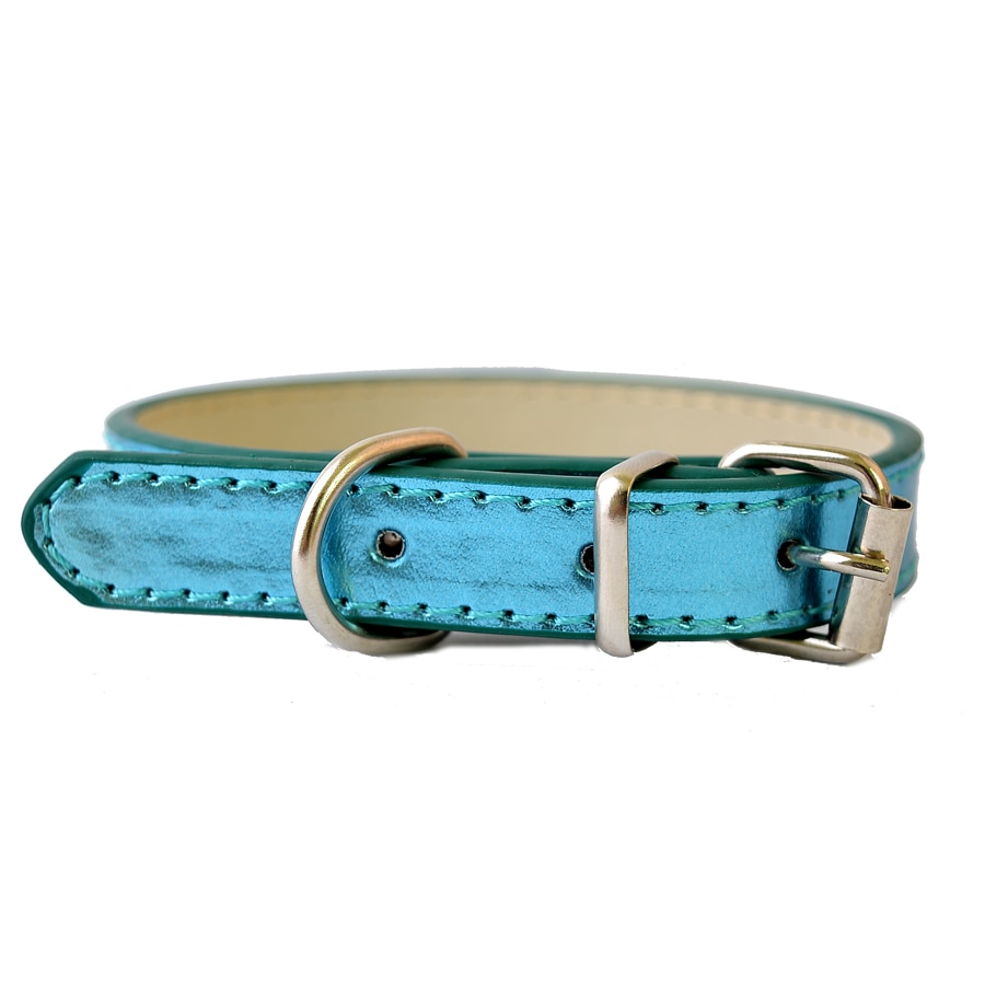 teal dog collar