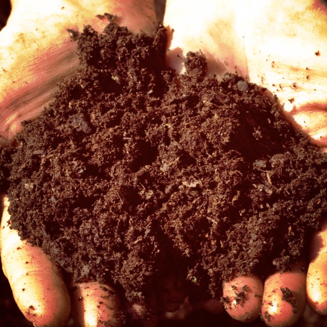 Garden Soil In Philippines Fasci Garden