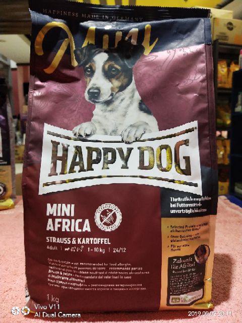 mini africa happy dog