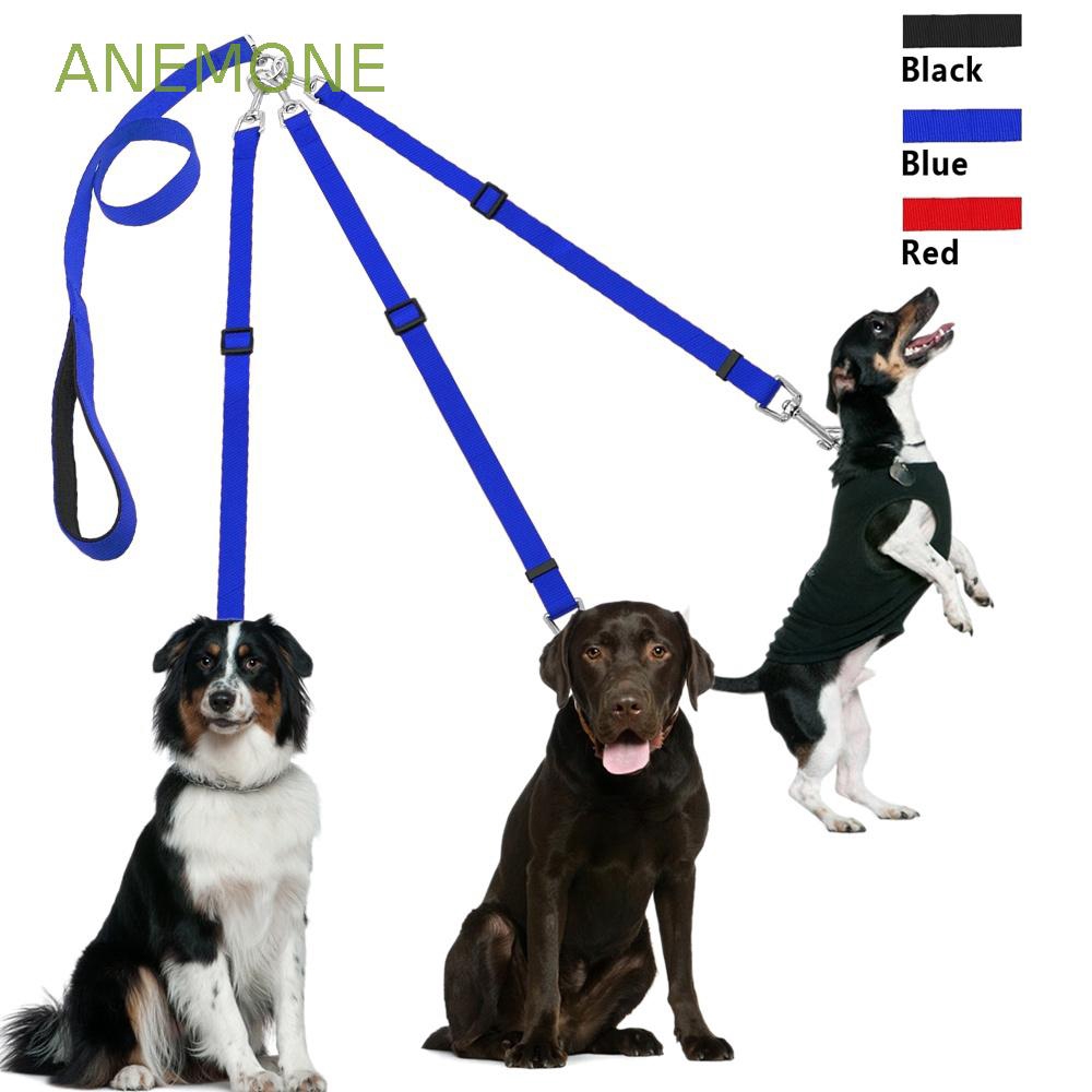 3 way dog leash