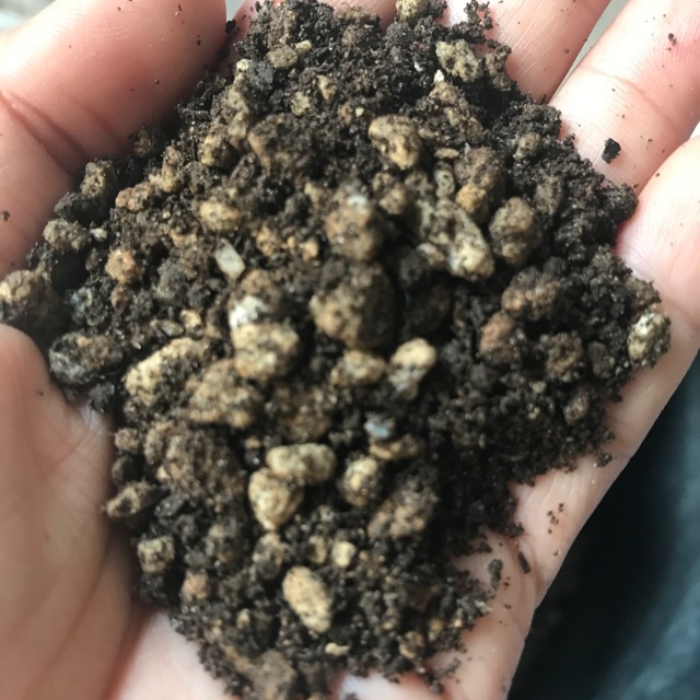 Cactus And Succulents Soil Less Potting Mix 1 Kilo Organic Shopee Philippines