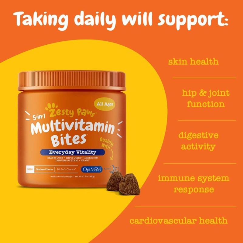 buffalo plaid dog collar and leash