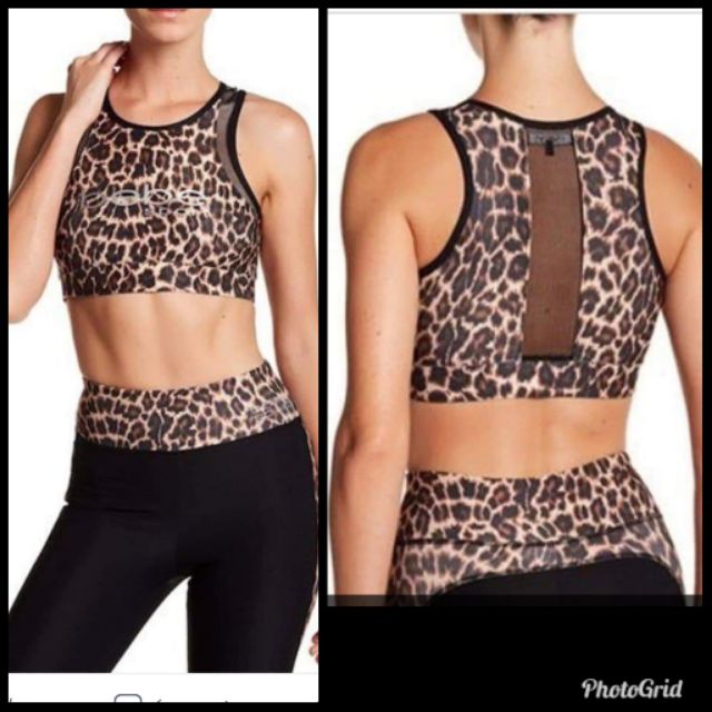 bebe sports bra