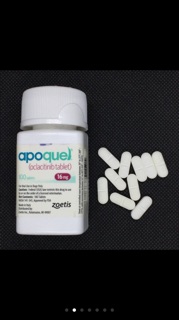 APOQUEL 16 MG SOLD per tablet P200/tab ( strictly w RX ) pack of 7 tablets #2