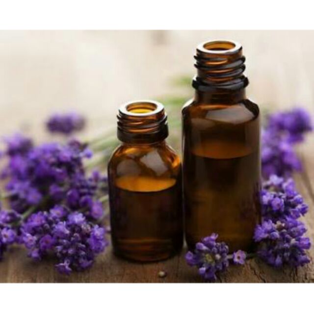 Lavender Fragrance Oil (30ml/100ml) Shopee Philippines