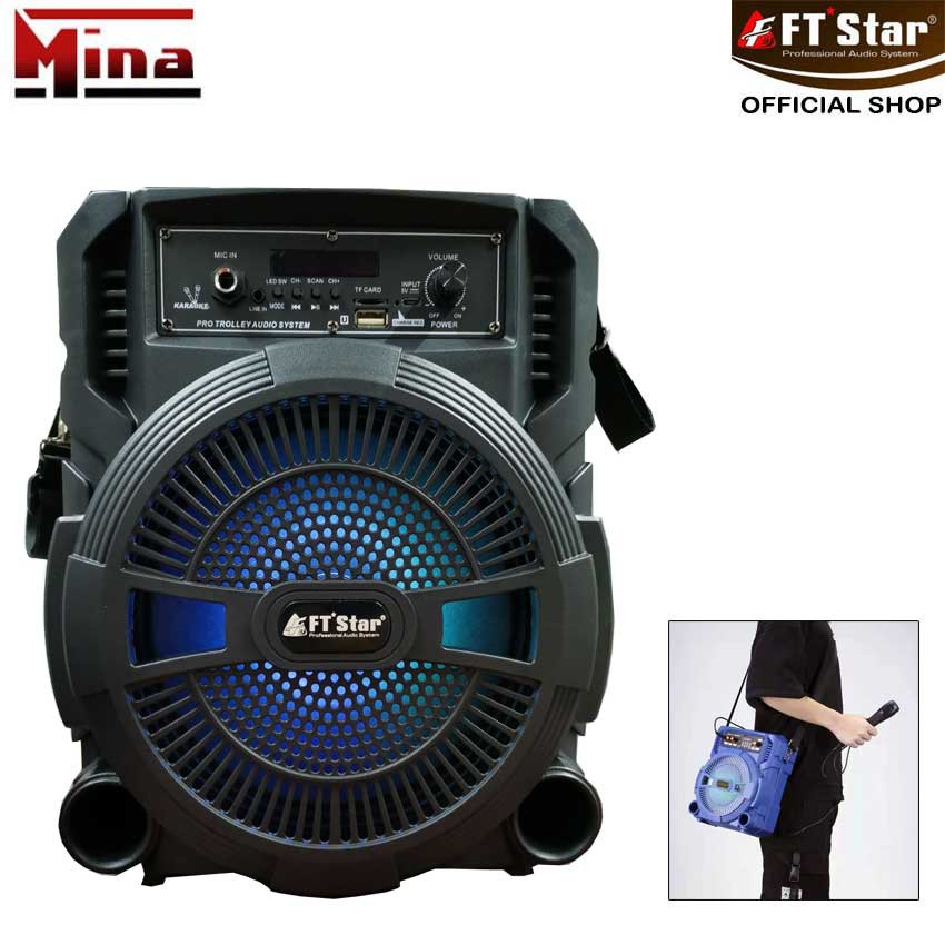 portable music system with mic