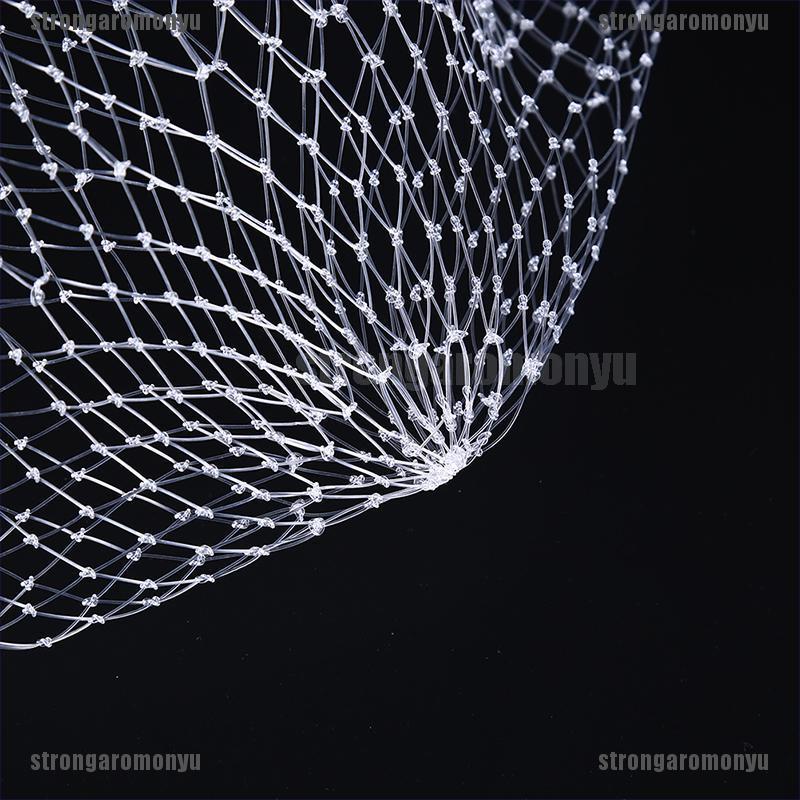 dip net
