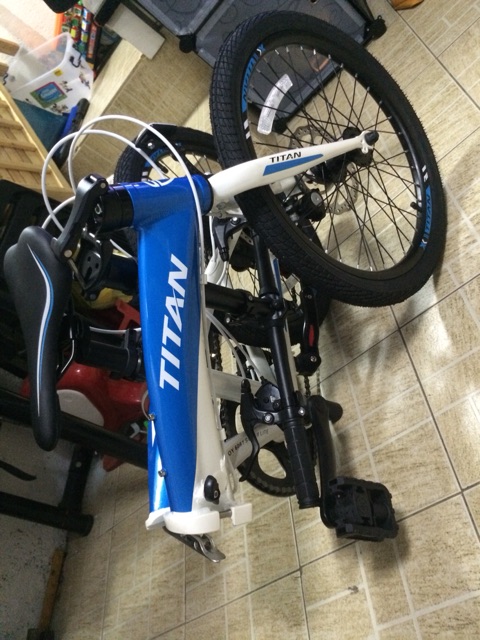 titan elite 29er