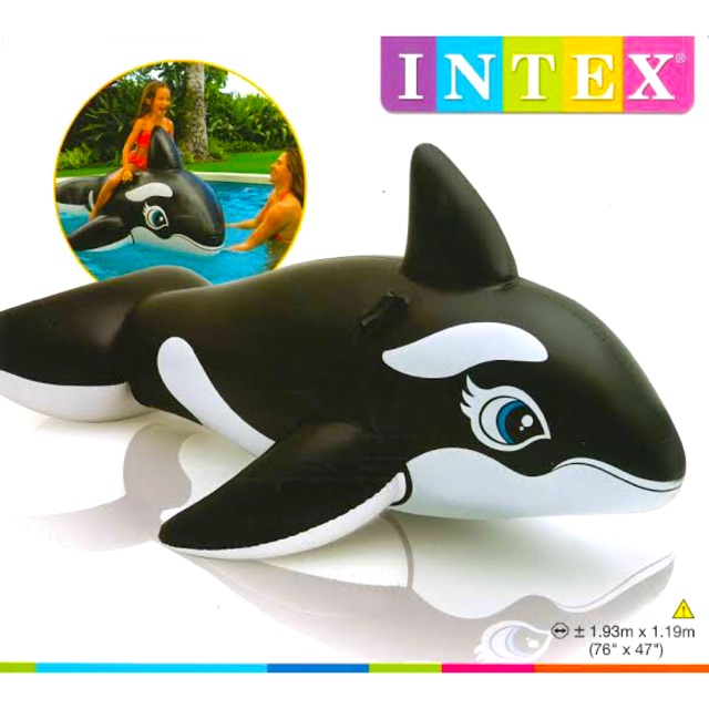 intex water toys