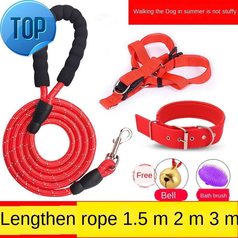 rope leash for small dogs
