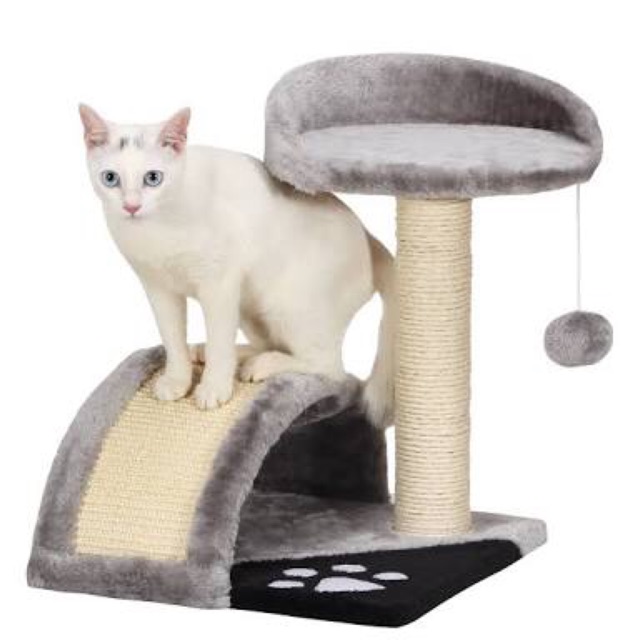 Cat Tree and Scratcher Post | Shopee 