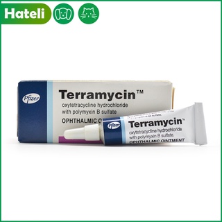 [HATELI] Terramycin Antibiotic Ointment for Eye Infection Treatment in Dogs Cats Cattle Horses and S