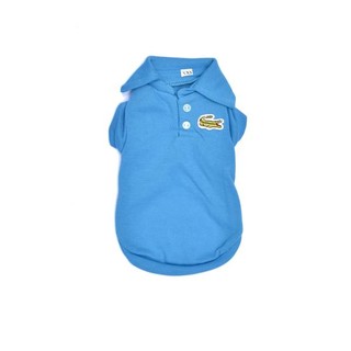 lacoste dog clothes