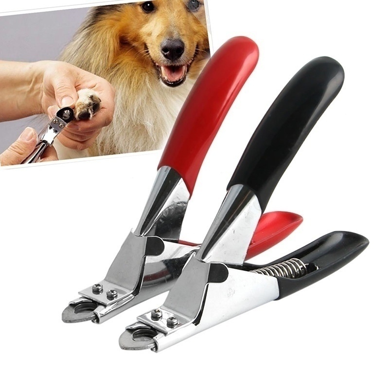 Dog Claw Nail Clippers Dogs Cats Scissors Toe Toe Nail Cutter Grooming Tool  6A | Shopee Philippines