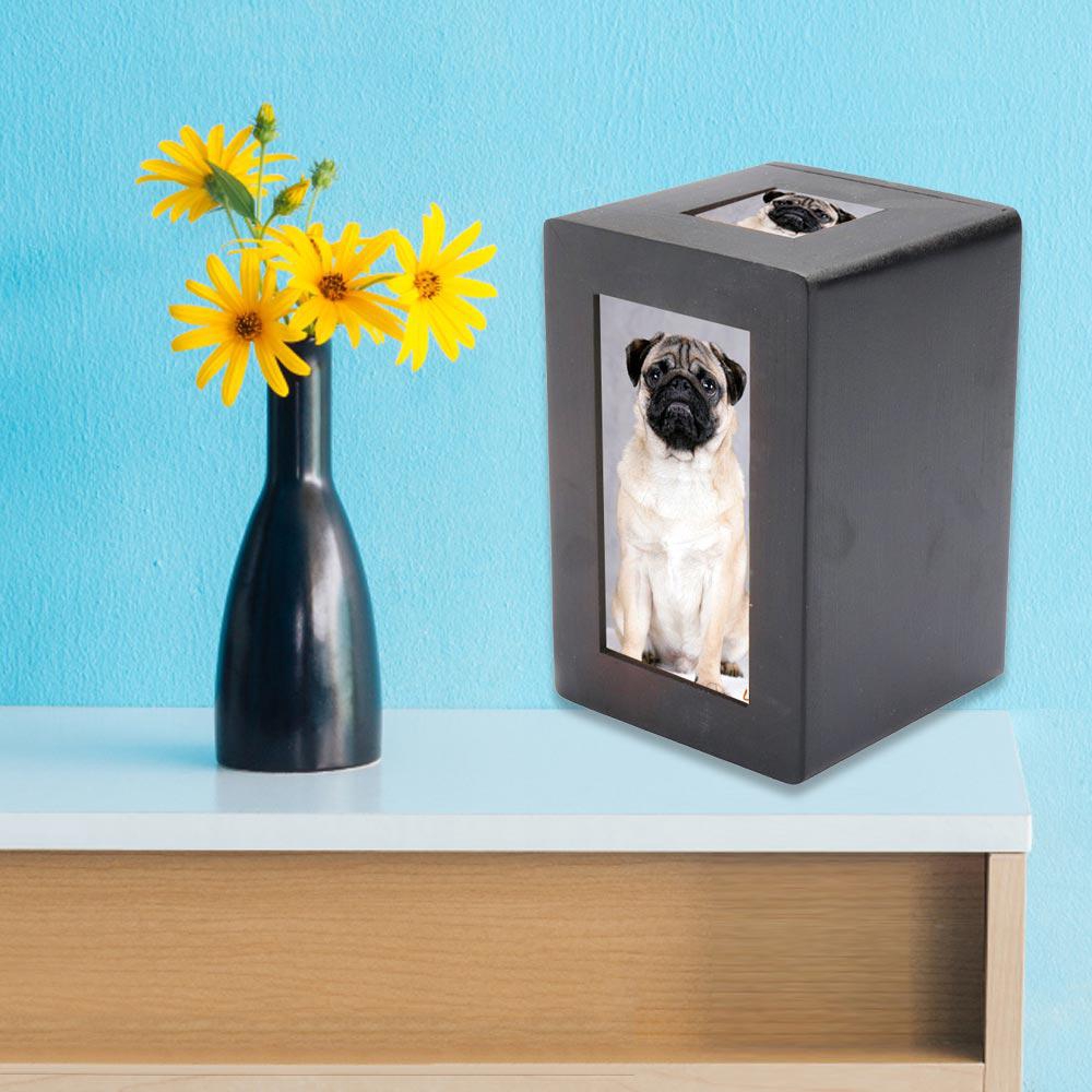 pet cremation viewing