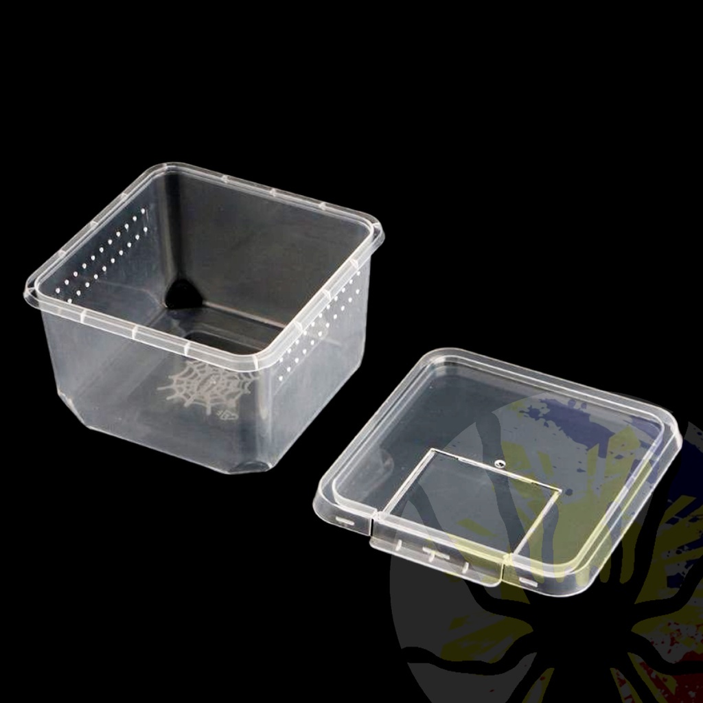 (Wholesale) Square Terrestrial Breeding Box (Medium) | Terrarium | Cage | Enclosure for Tarantula #4