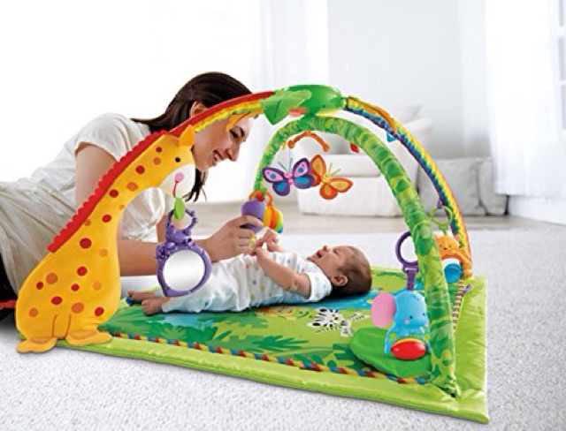 fisher price deluxe play gym