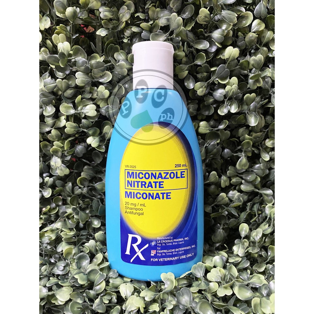 Miconate Anti Fungal Shampoo for Dogs and Cats 250ml Shopee Philippines