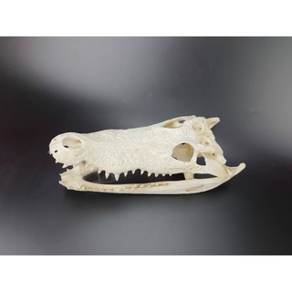 Crocodile Skull For Decorating Cages Or Cabinets Is A Place To Hide Animals #7
