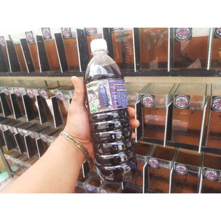 【Ready Stock】✼TALISAY EXTRACT WITH TURMERIC FOR BETTA FISH 1L