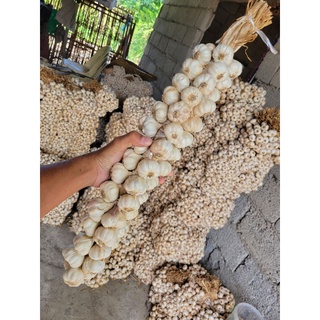 1kg Native Ilocos Bawang / Garlic (Braided)