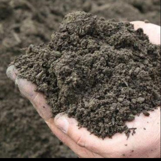 Loam Soil Garden Soil 4 In 1 Shopee Philippines
